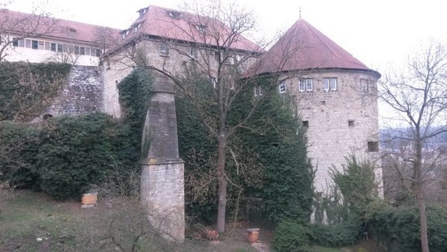 Tübingen 2016 (7).jpg