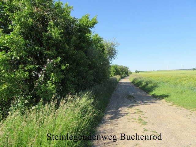k-Buchenrod Steinlegendenweg (2).JPG