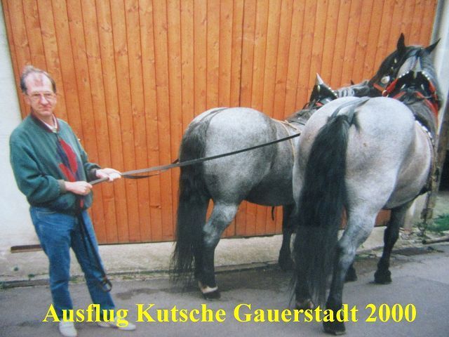2000 Pferdekutschfahrt Gauerstadt  (1).jpg