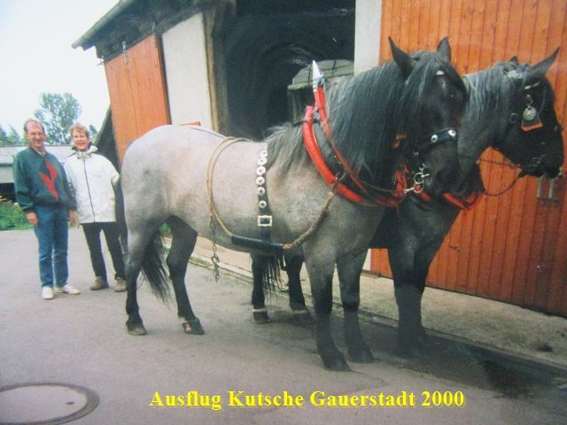 2000 Pferdekutschfahrt Gauerstadt  (2).jpg