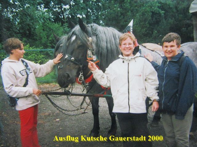 2000 Pferdekutschfahrt Gauerstadt  (3).jpg